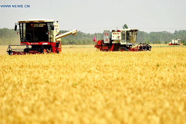 China sees record summer grain output