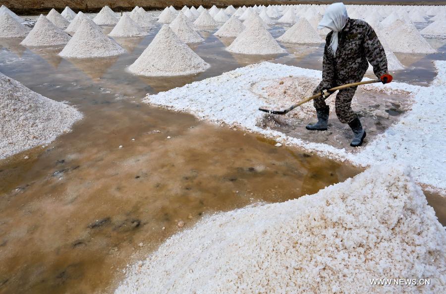 Workers harvest dried salt in Gansu