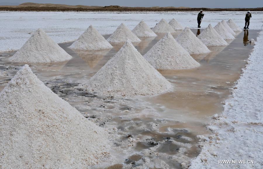 Workers harvest dried salt in Gansu