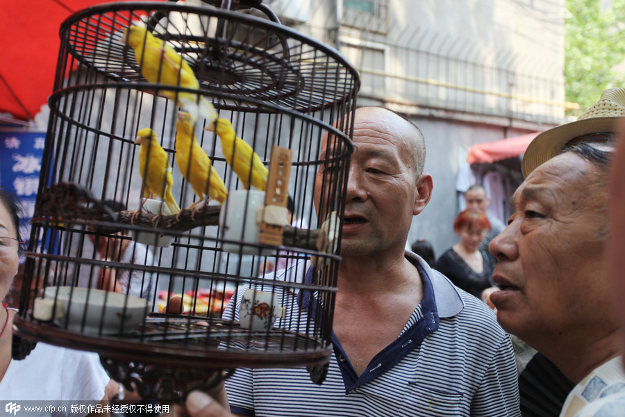 Bird market hidden in Xi’an ancient street