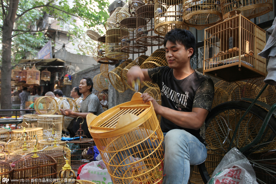 Bird market hidden in Xi’an ancient street