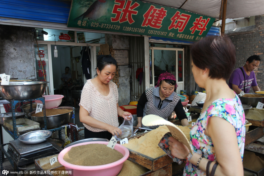 Bird market hidden in Xi’an ancient street