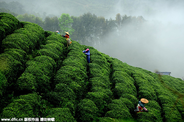 China's farm produce prices rise modestly - Bu