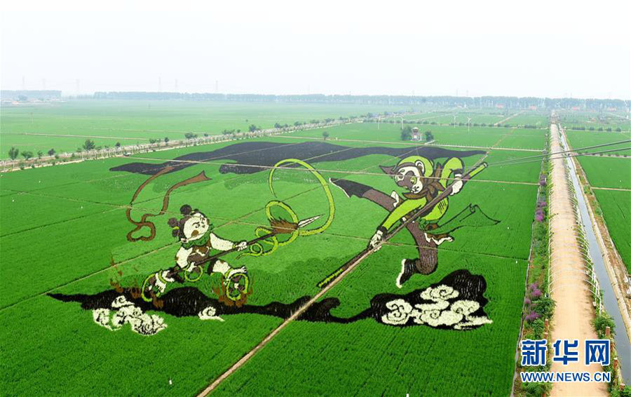 Paintings on paddy fields in Shenyang, NE China