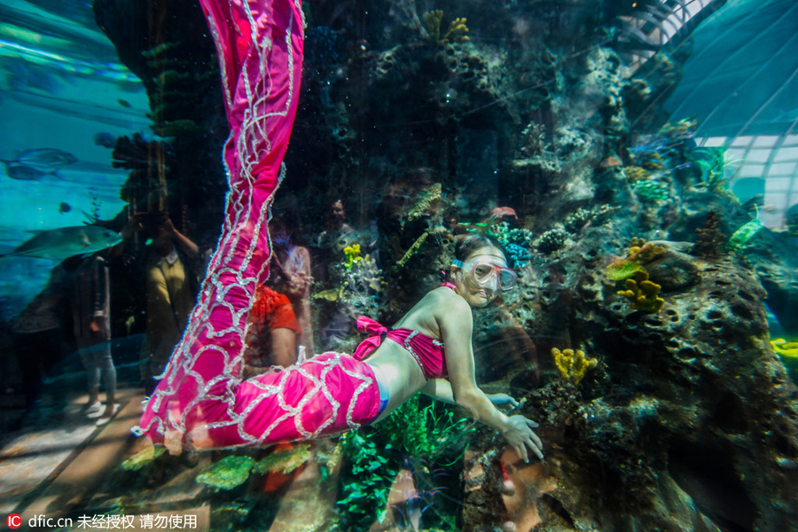Mermaid fantasy spurs business opportunities