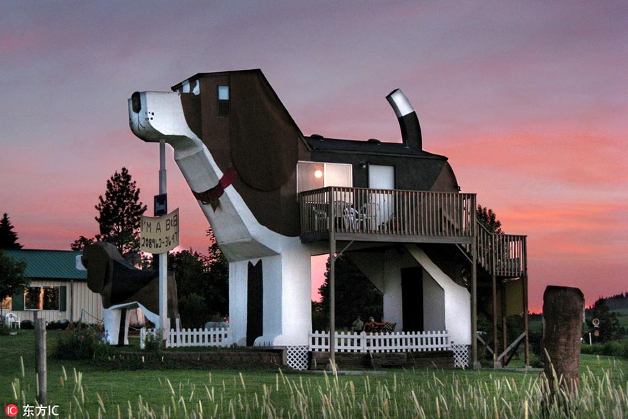 Amazing animal-shaped buildings in the world