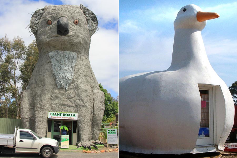 Amazing animal-shaped buildings in the world