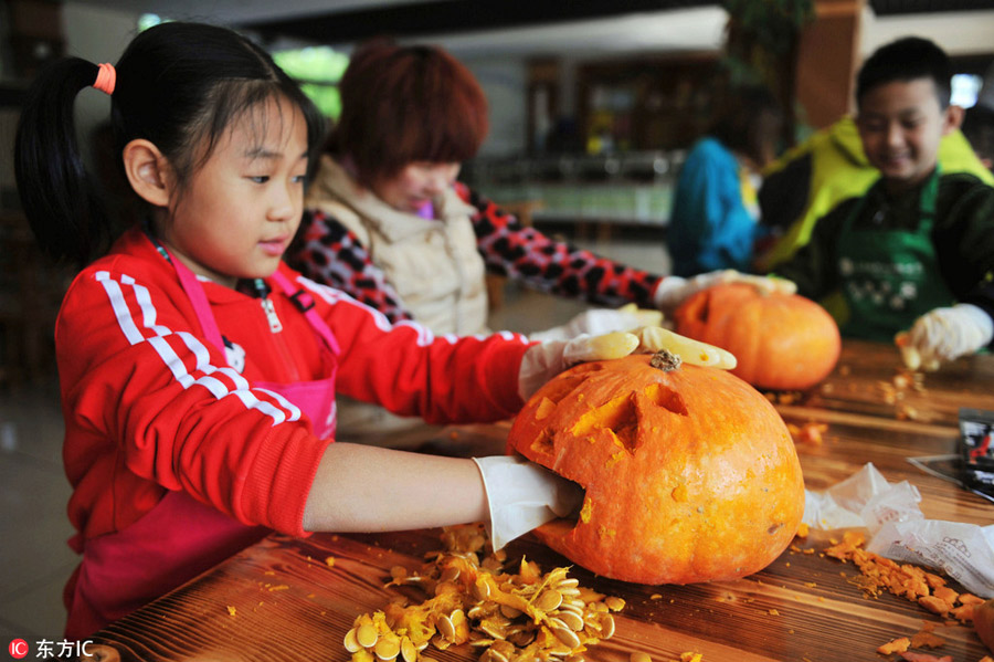 Halloween treats for animals at the zoo