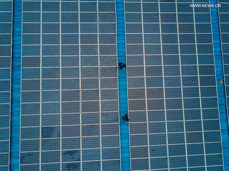 E China's rooftop photovoltaic power station generates 75m kWh of electricity