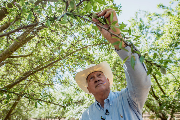 California almond exporters eye rich growth potential in China market