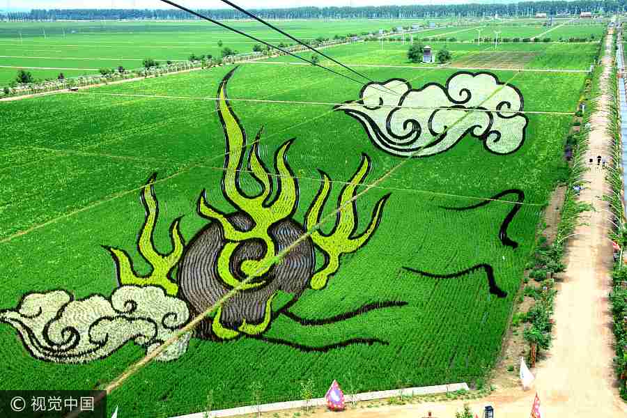 Are these paddy fields or paintings?