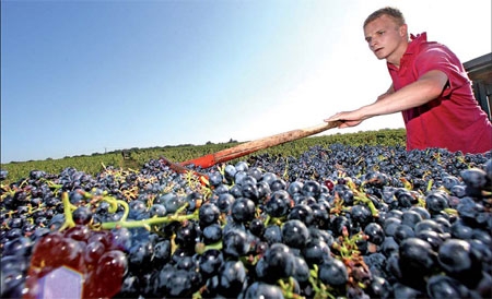 China's new crush: trendy Beaujolais