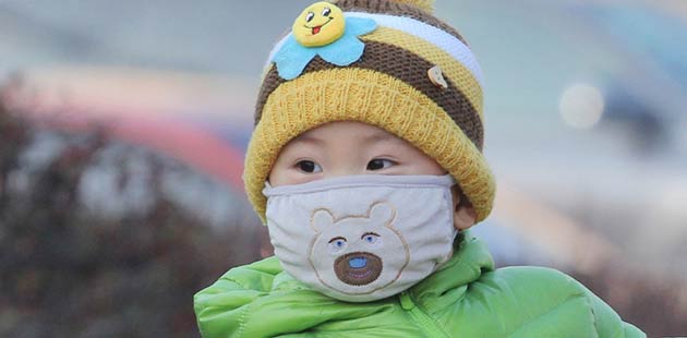 Top 10 products minting most from smog