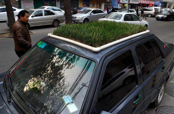 Car with a lawn