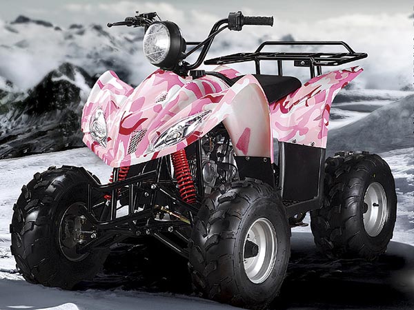 Chinese ATV maker seeks overseas acquisitions
