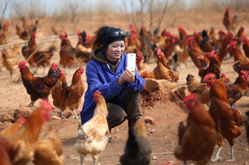 Online tools lay the golden egg for rural woman