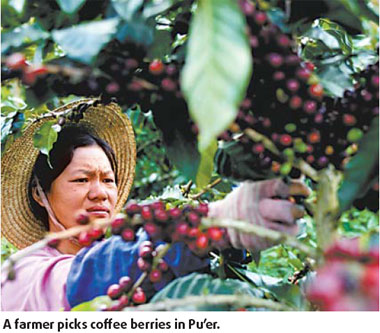 Coffee buzz