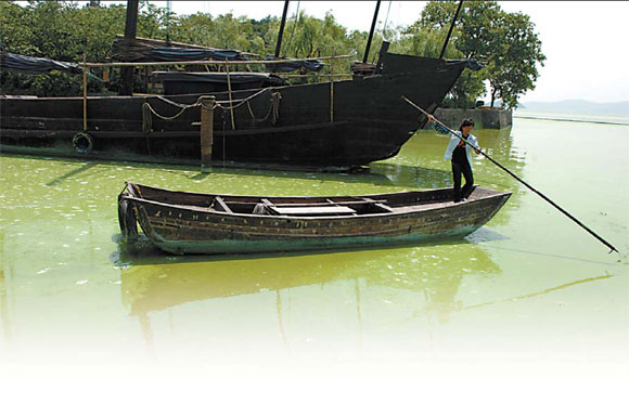 Green revolution