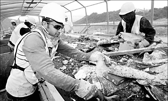 Power of garbage