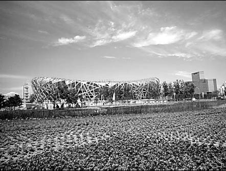 Beijing by numbers