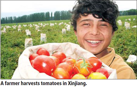 Xinjiang's 'Red Industry'