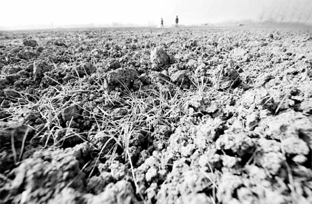 Facing up to climate change