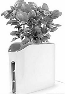 Products & Gadgets