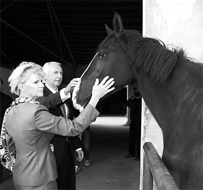 From a hobby to starting up a horse ranch
