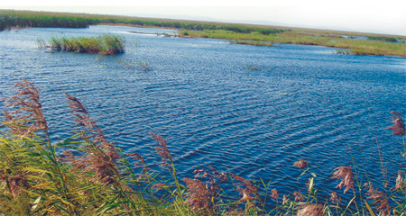 Restoring China's disappearing wetlands