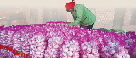 Garlic beats gold as China's hot new asset