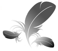 Feather and down industry enjoys new surge in orders