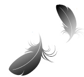 Feather and down industry enjoys new surge in orders