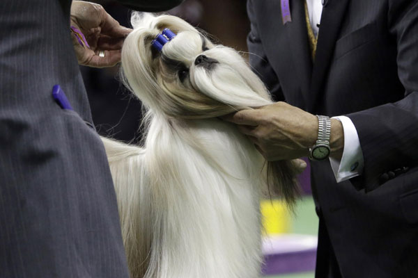 Patty Hearst in the news again as her dog wins award