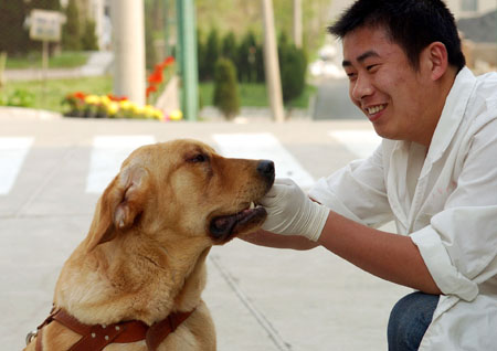 ,,seeing-eye dog,,,