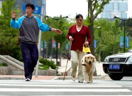 ,,seeing-eye dog,,,
