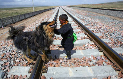An ethnic Tibetan child plays with a Tibetan mastiff beside the tracks of the Qinghai-Tibet Railway in Datong County, Haixi Prefecture, west China's Qinghai province, June 15, 2006. The much-anticipated fares and schedules for the Qinghai-Tibet Railway were unveiled Monday. The service begins on July 1 and it will take 48 hours and a minimum of 389 yuan (US$49) by hard seat to get to Lhasa from Beijing. [Reuters]