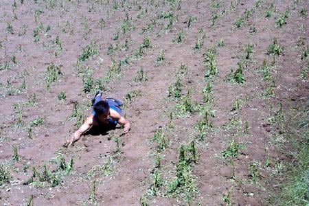 ,,Yuzhong,,Gansu,,hail,,,