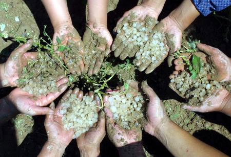 ,,Yuzhong,,Gansu,,hail,,,