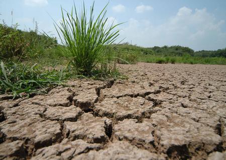 Water shortage will create far-reaching global security concerns: Pachauri