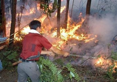 ,,drought,,chongqing,,