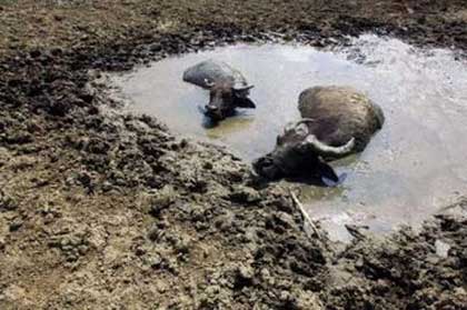 Strong rainstorms occurred on Sunday in cities over the eastern Sichuan Basin, signalling a possible end to more than three months of drought, Xinhua News Agency reported. [Reuters]