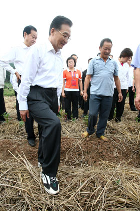 Chinese Premier Wen Jiabao (1st L) inspects crops during his visit to a drought-stricken area in Suining City, Southwest China's Sichuan Province October 1 2006. Premier Wen Jiabao told farmers Tuesday the government would continue to improve and strengthen its agricultural policy in an effort to boost their living standards. [newsphoto]