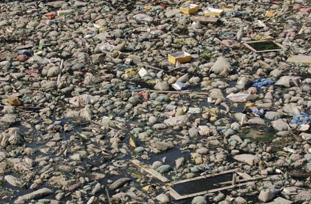 Rubbish floats on a river crossing the city of Hefei, east China's Anhui province, November 9, 2006. China's pollution problems have damaged 10 million hectares, or one tenth, of the country's arable land, said the environment watchdog Tuesday as it called for expanding grass- roots monitoring staff in the rural areas, Xinhua News Agency reported.