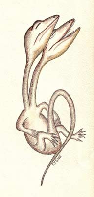 A drawing shows an abnormal two-headed aquatic reptile from the Early Cretaceous Period (about 120 million years old) in northeastern China in this handout photo released December 20, 2006. The fossil specimen comes from Cretaceous rocks in the Yixian Formation of northeastern China. It is now held in Shenzhen, southern China. [Reuters]