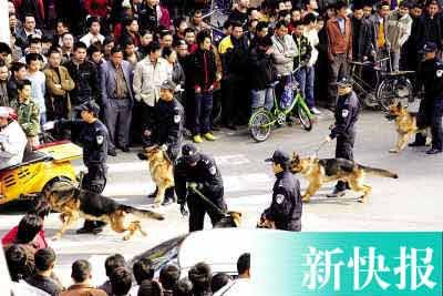 Police dogs and their handlers perform security sweep on a street near a restaurant in Guangzhou, South China's Guangdong Province, January 10, 2007. Local police stormed the restaurant and arrested some 100 people, who were suspected to be gang members at a meeting, New Express Daily reported. Police also found controlled cutting tools and drugs. [Xi Huijing/New Express Daily]