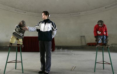 nanning,goat,monkey