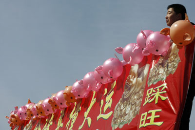 ,chinese lunar new year,spring festival,