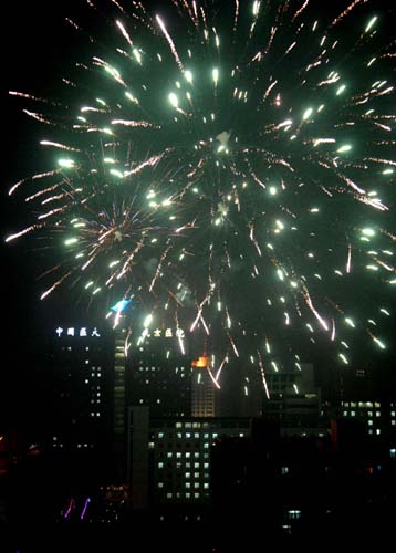 the year of the pig,fireworks,