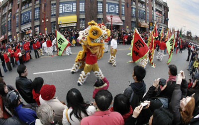 ,chinese lunar new year,year of the pig,