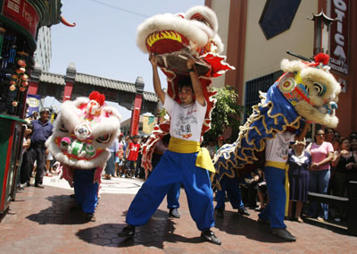 ,chinese lunar new year,year of the pig,